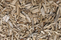 biomass boilers Polwheveral